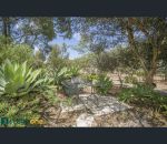 thumbnail-123-seaflower-way-gabbadah-wa-6041-13