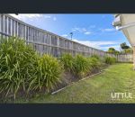 thumbnail-31-milly-circuit-ormeau-qld-4208-4