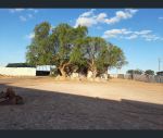 thumbnail-1063-italian-club-road-coober-pedy-sa-5723-1