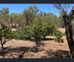 thumbnail-2112-spencer-brook-road-clackline-wa-6564-5