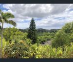 thumbnail-496-piggabeen-rd-currumbin-valley-qld-4223-10