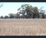 thumbnail-728-north-east-wonwondah-road-wonwondah-vic-3401-6