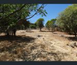 thumbnail-9-harcourt-st-toodyay-wa-6566-3