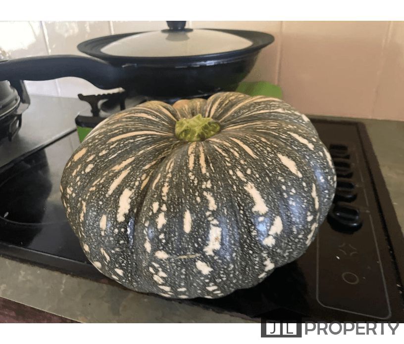 109 Attards Road, Habana, Qld 4740