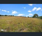 thumbnail-307a-back-tea-tree-road-richmond-tas-7025-0