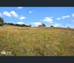 thumbnail-307a-back-tea-tree-road-richmond-tas-7025-9