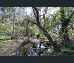 thumbnail-139-spring-creek-road-munna-creek-qld-4570-7