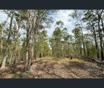 thumbnail-139-spring-creek-road-munna-creek-qld-4570-11