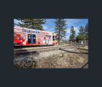 thumbnail-518-fourth-avenue-glenelg-east-sa-5045-13