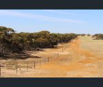 thumbnail-s22-tori-hills-road-sandalwood-sa-5309-4