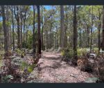 thumbnail-1430-golconda-road-wyena-tas-7254-6