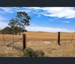 thumbnail-sunny-rise-booleroo-road-pekina-sa-5431-8