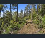 thumbnail-lot-1-maxfields-road-huonville-tas-7109-6