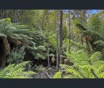 thumbnail-lot-1-maxfields-road-huonville-tas-7109-1