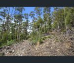 thumbnail-lot-1-maxfields-road-huonville-tas-7109-10