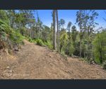 thumbnail-lot-1-maxfields-road-huonville-tas-7109-8