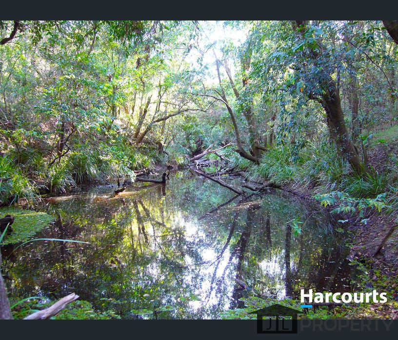 128 Junction Mountain Road, South Isis, Qld 4660