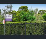 thumbnail-1126-bay-street-botany-nsw-2019-8