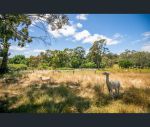 thumbnail-15-von-doussa-road-hahndorf-sa-5245-3