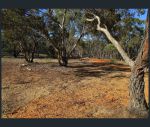 thumbnail-87-torney-road-carapooee-west-vic-3477-9