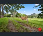 thumbnail-179-south-boambee-road-boambee-nsw-2450-3