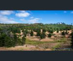 thumbnail-known-as-lot-8487-polina-road-kangaroo-gully-wa-6255-7