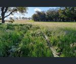 thumbnail-437-pindicup-road-manjimup-wa-6258-7