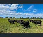 thumbnail-3953-warrumbungles-way-binnaway-nsw-2395-1