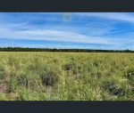 thumbnail-3953-warrumbungles-way-binnaway-nsw-2395-8