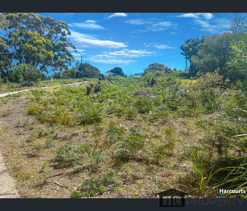 44 Treloggen Drive, Binalong Bay, Tas 7216