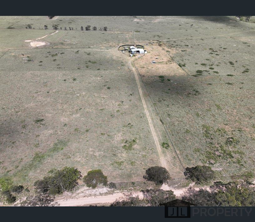 335 Washpool Creek Road, Tenterfield, NSW 2372