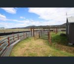 thumbnail-335-washpool-creek-road-tenterfield-nsw-2372-8