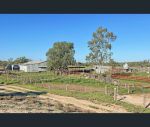 thumbnail-23987-east-culgoa-road-brewarrina-nsw-2839-3