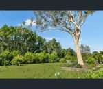 thumbnail-7-snowgum-court-ningi-qld-4511-5