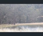 thumbnail-3378-perup-road-manjimup-wa-6258-11