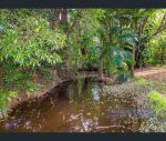 thumbnail-354-main-arm-road-mullumbimby-nsw-2482-8