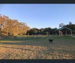 thumbnail-address-available-on-request-ashgrove-qld-4060-9