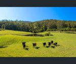 thumbnail-302-clarefield-dungay-creek-road-marlo-merrican-nsw-2441-3