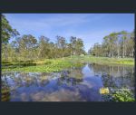 thumbnail-41-fisher-road-maraylya-nsw-2765-3