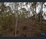 thumbnail-555-mogo-road-oallen-nsw-2622-10