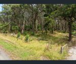 thumbnail-93-feeneys-lane-benloch-vic-3435-7