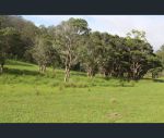 thumbnail-1341a-putty-valley-road-putty-nsw-2330-8