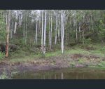 thumbnail-1341a-putty-valley-road-putty-nsw-2330-4