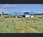 thumbnail-335-washpool-creek-road-tenterfield-nsw-2372-11