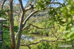 thumbnail-23-hibiscus-parade-banora-point-nsw-2486-11