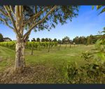 thumbnail-9-goman-road-moorooduc-vic-3933-7