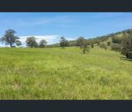 thumbnail-273-roelands-drive-brombin-nsw-2446-10