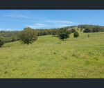 thumbnail-273-roelands-drive-brombin-nsw-2446-11