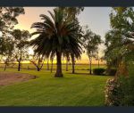 thumbnail-muldoon-moree-nsw-2400-12