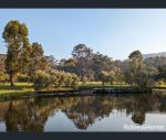 thumbnail-202-walter-road-scotsdale-wa-6333-9